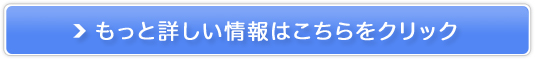 zHT[rXyVFt̖Y肨z̔TCg